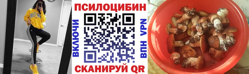 Галлюциногенные грибы Cubensis дарнет шоп Рудня