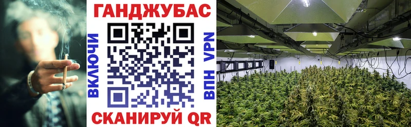 Марихуана LSD WEED  дарнет шоп  ссылка на мегу маркетплейс  Рудня 